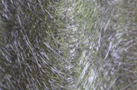 Downholland Cross fibreglass roof work